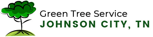 Green Tree Service Johnson City, TN | Professional Tree Company